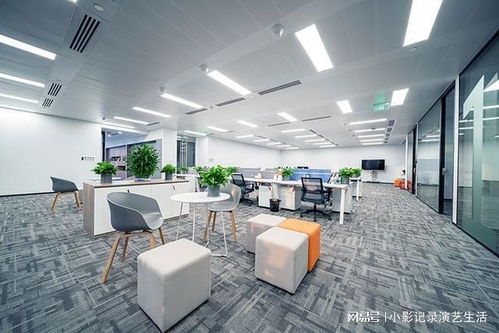 微播樂影 以技術開發為核心，構建一體化高新技術企業生態體系